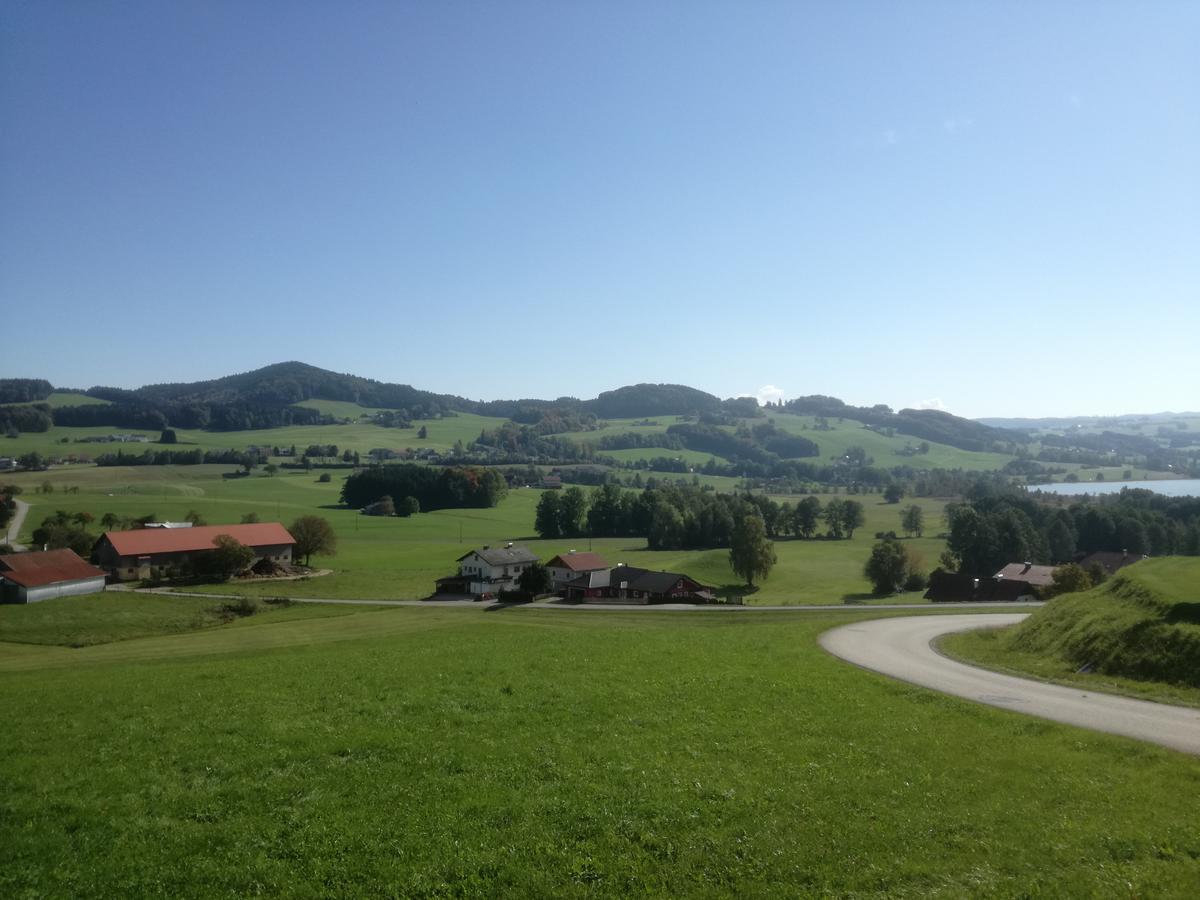 Mitterbauer Ferienhaus *