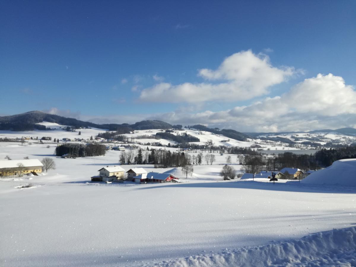 Mitterbauer *